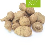 Apios americana / Amerikaanse aardnoot knollen