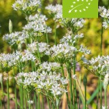 Eetbaar pakket (biologisch)