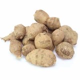 Pictured indian potatoes in a white background.