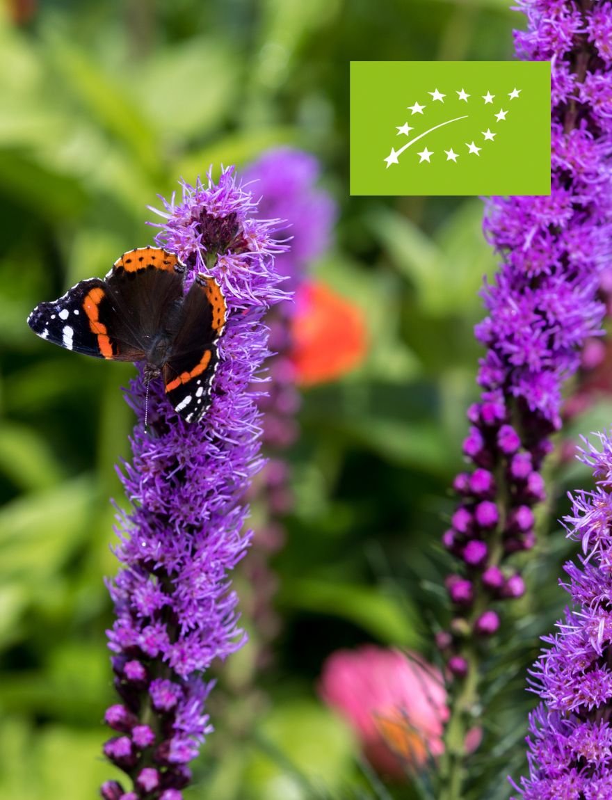 Bijentuinpakket (biologisch)