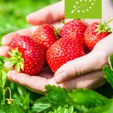 Eetbaar pakket (biologisch)