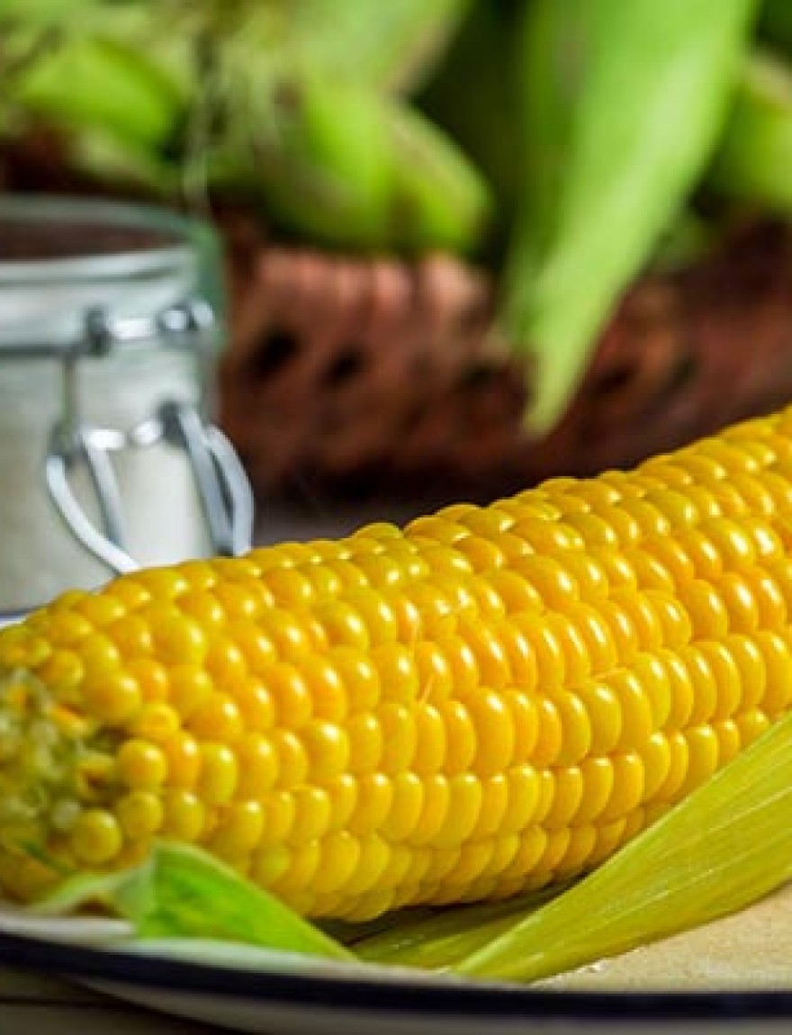 Boiled corn served with butter.