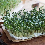 Yellow mustard sprouts on a wooden table, with garden cress sprouts in the background