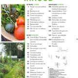 Special De eetbare tuin