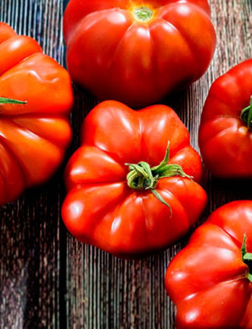 Fresh red Marmande RAF red tomatoes