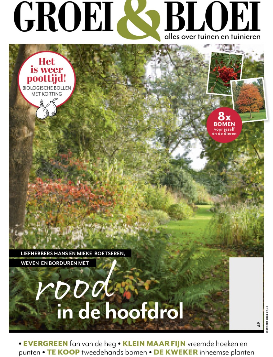 Cover oktober 2024
