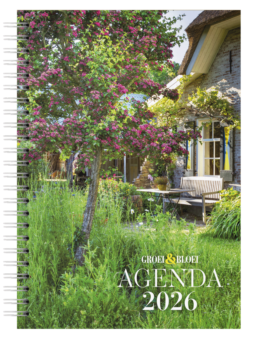 Pre-order nu: Agenda 2026 met gratis verzending!