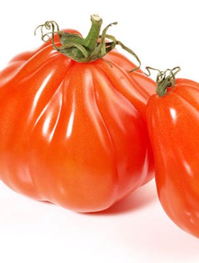 Ox Heart Tomatoes on white Background
