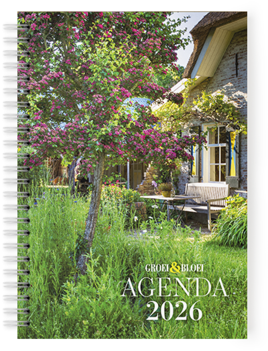 Pre-order nu: Agenda 2026 met gratis verzending!
