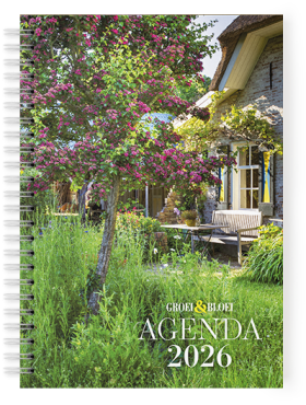 Agenda