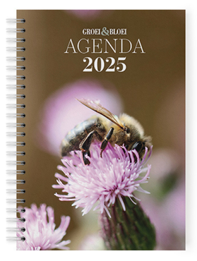 Agenda 2025