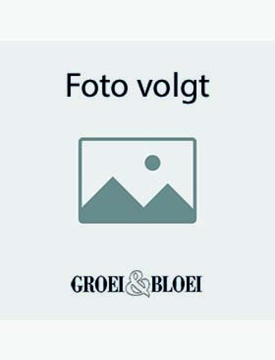 Image preview icon. Picture placeholder for website or ui-ux design. Vector eps 10 illustration.